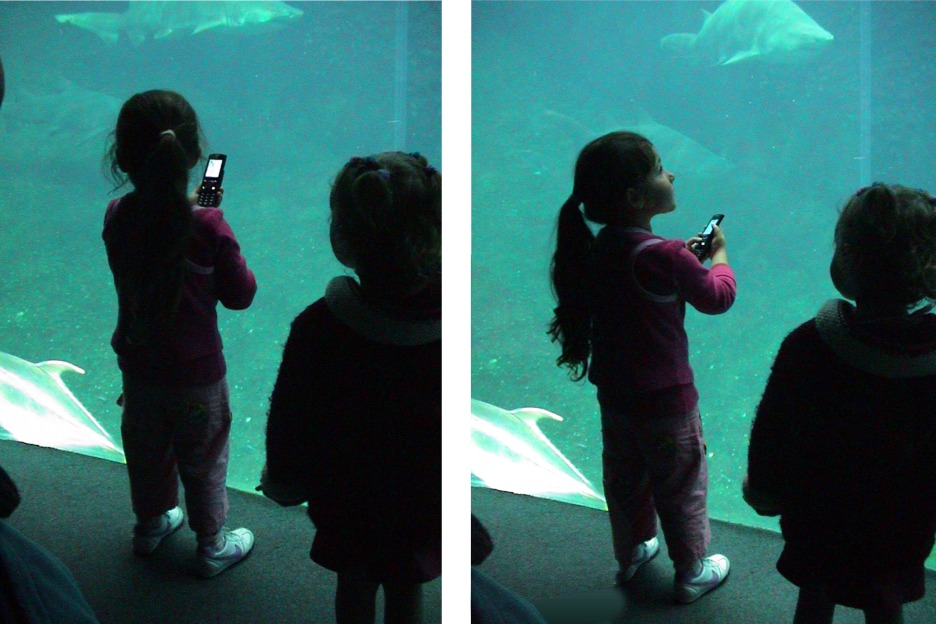 Children in aquarium