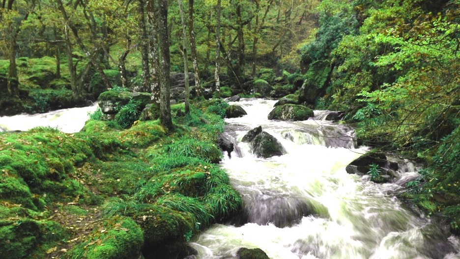 Moorland river