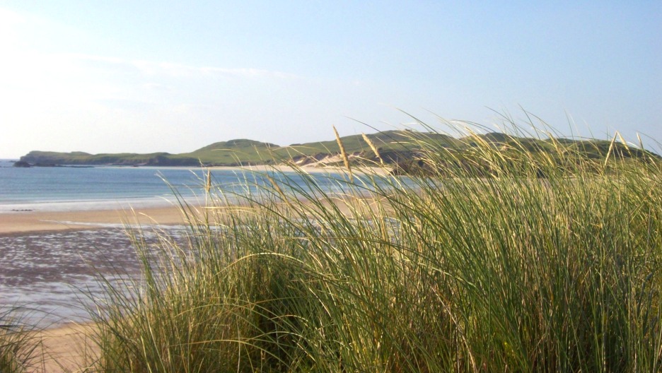 Beach and marram grass, Sutherland, Scotland
