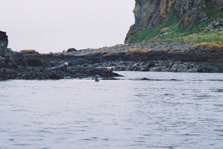 Cairn na Burgh Mòr, Treshnish Isles
