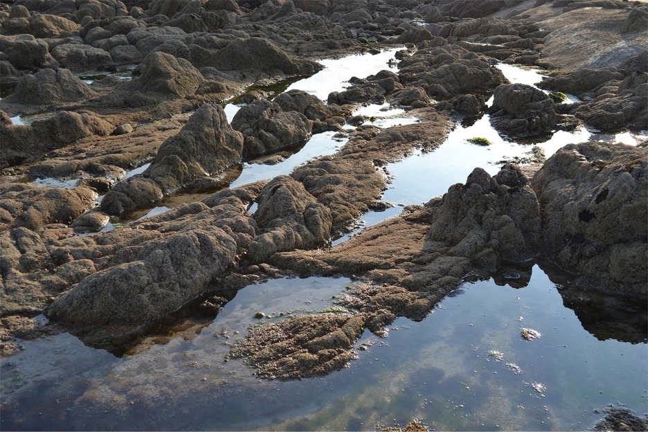 rocky shores and tidal pools