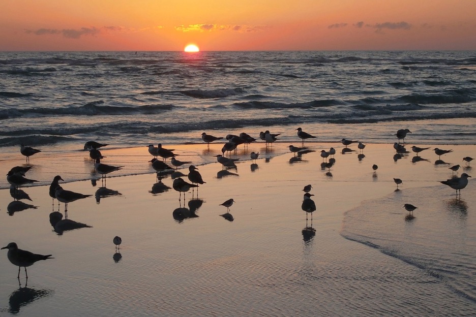 Hebrides sunset