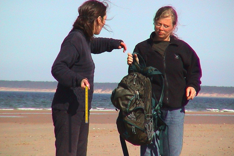 Beach work