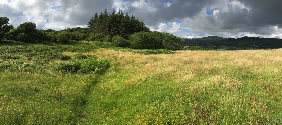 Eastern part of island of Ulva