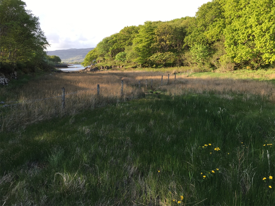 Eastern part of island of Wolf Island