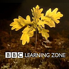 BBC Learning Zone