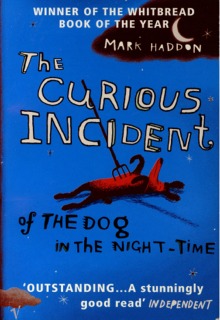 The Curious Incident of the Dog in the Night-Time